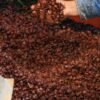 Rahma, Olive Oil, Pomace Oil, tin 400ml – Wholesale & Export UAE - wholesale supplier | AgroFoods Global