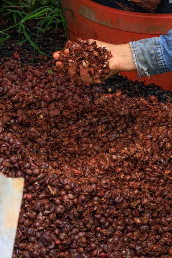 Rahma, Olive Oil, Pomace Oil, tin 400ml – Wholesale & Export UAE - wholesale supplier | AgroFoods Global
