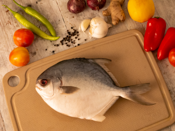 Silver Pomfret Avoli Zubaidi Medium Whole Clean - wholesale supplier | AgroFoods Global