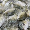 Black Pomfret Zubaidy Al Aswad Karutha Avoli M - wholesale supplier | AgroFoods Global