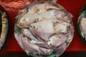 Premium Frozen Pompano Fish Whole Round - wholesale supplier | AgroFoods Global