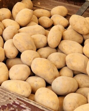Sweet Potato 1kgs - wholesale supplier | AgroFoods Global