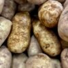 Premium Potatoes UAE – Fresh & High-Quality Potatoes for Wholesale & Retail - wholesale supplier | AgroFoods Global