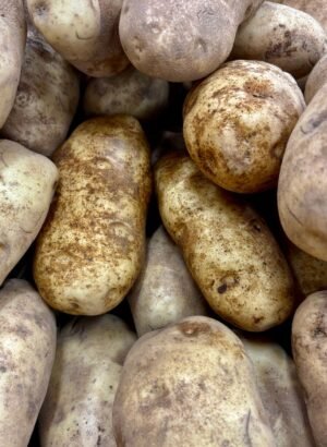 Premium Potatoes UAE – Fresh & High-Quality Potatoes for Wholesale & Retail - wholesale supplier | AgroFoods Global