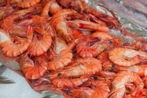 Australian Prawn - wholesale supplier | AgroFoods Global