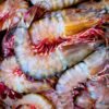 Prawn — Bulk & Wholesale Supply Dodo Prawn Flavoured Ball, 200g – Wholesale & Export UAE - wholesale supplier | AgroFoods Global