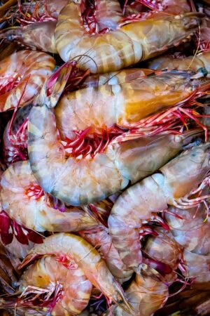 Cooked Peeled Prawns 400g UAE – Ready-to-Eat Frozen Shrimp Dubai - wholesale supplier | AgroFoods Global