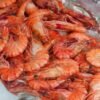 2021 New Product Fresh Whiteshrimp Prawns - wholesale supplier | AgroFoods Global