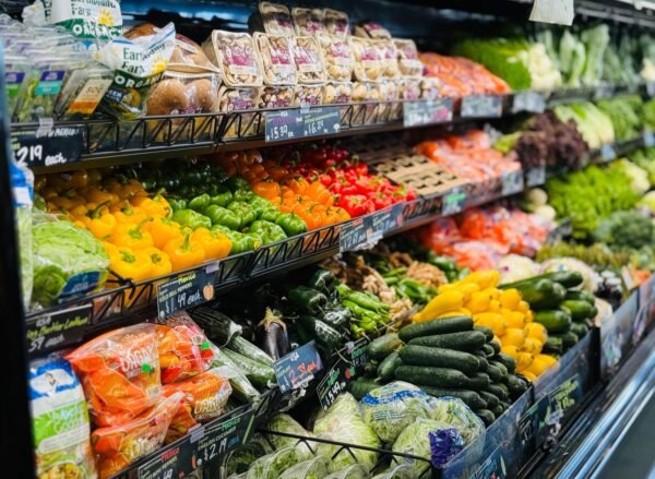 Valencia Oranges Fresh Produce Bulk Citrus - wholesale supplier | AgroFoods Global