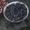 Bayara Prunes Dried Jumbo 200g – Wholesale & Export UAE - wholesale supplier | AgroFoods Global