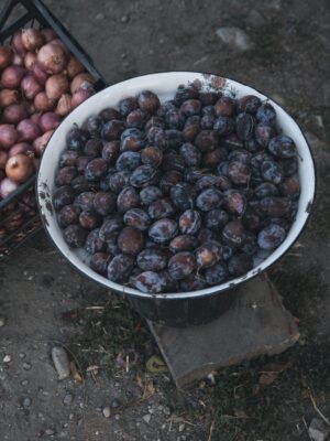 Bayara Prunes Dried Jumbo 200g – Wholesale & Export UAE - wholesale supplier | AgroFoods Global