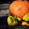 Pumpkin Ash Kumblam - wholesale supplier | AgroFoods Global