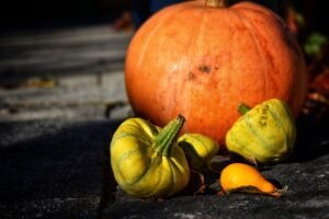 Pumpkin Ash Kumblam - wholesale supplier | AgroFoods Global
