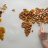 Black Raisins - wholesale supplier | AgroFoods Global