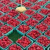 Raspberries Prepacked 125g UAE – Fresh Raspberry Wholesale & Supplier Dubai - wholesale supplier | AgroFoods Global
