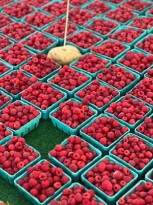 Raspberries Prepacked 125g UAE – Fresh Raspberry Wholesale & Supplier Dubai - wholesale supplier | AgroFoods Global