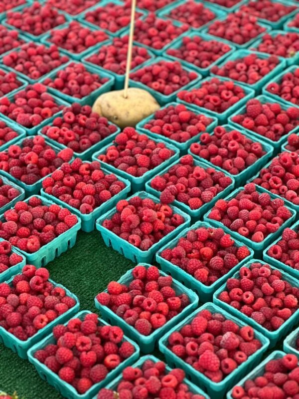Raspberries Prepacked 125g UAE – Fresh Raspberry Wholesale & Supplier Dubai - wholesale supplier | AgroFoods Global