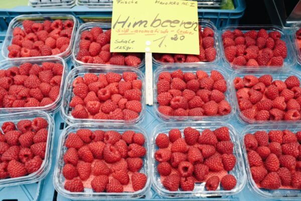 Raspberries — Bulk & Wholesale Supply