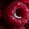 Pol's Freeze Fresh Freeze Dried Raspberry, 20g – Wholesale & Export UAE - wholesale supplier | AgroFoods Global