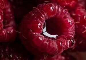 Pol's Freeze Fresh Freeze Dried Raspberry, 20g – Wholesale & Export UAE - wholesale supplier | AgroFoods Global