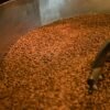 Dried White All Size Roasted Raw - wholesale supplier | AgroFoods Global