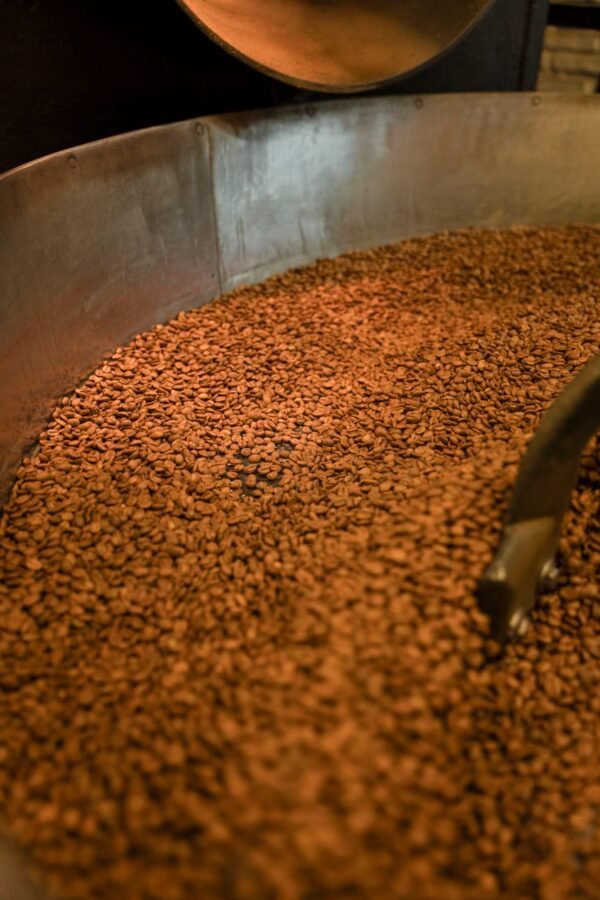 Dried White All Size Roasted Raw - wholesale supplier | AgroFoods Global