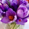 Sam Persian Saffron - wholesale supplier | AgroFoods Global