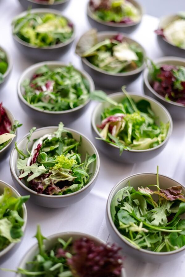 Food Grade Packaging PET 2oz Salad - wholesale supplier | AgroFoods Global
