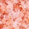 Hectare's Veggisaurs Sea Salt Vegetable Sticks, 30g – Wholesale & Export UAE - wholesale supplier | AgroFoods Global