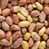 Best Salted Peanut Can, 550g – Wholesale & Export UAE - wholesale supplier | AgroFoods Global
