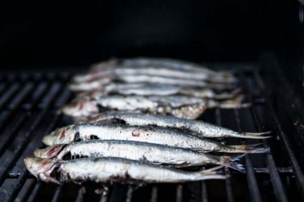 Mega Sardines in Tomato Chili Sauce, 425g – Wholesale & Export UAE - wholesale supplier | AgroFoods Global