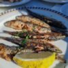 2025 Domee Factory Price Canned Sardines - wholesale supplier | AgroFoods Global