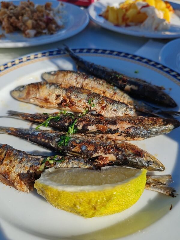 2025 Domee Factory Price Canned Sardines - wholesale supplier | AgroFoods Global