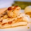 Frozen Half Shell Sea Scallop with - wholesale supplier | AgroFoods Global