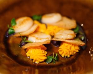 High Quality Frozen Sea Scallop Meat - wholesale supplier | AgroFoods Global