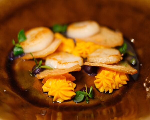 High Quality Frozen Sea Scallop Meat - wholesale supplier | AgroFoods Global