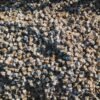 Best Melting Ferrous Steel Scrap HMS1 - wholesale supplier | AgroFoods Global