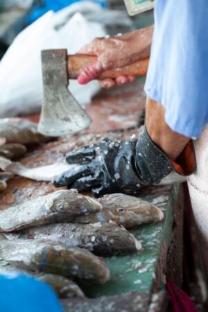 Farm Hign Quality Seabass Fish 300 - wholesale supplier | AgroFoods Global