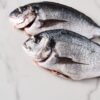 Frozen Gilthead Seabream Farmed Seabream Fish - wholesale supplier | AgroFoods Global
