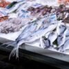 Premium Frozen Atlantic Salmon Fillet IQF - wholesale supplier | AgroFoods Global