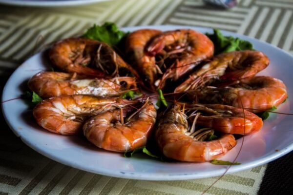 Premium Frozen Vannamei Shrimp Vietnam IQF - wholesale supplier | AgroFoods Global