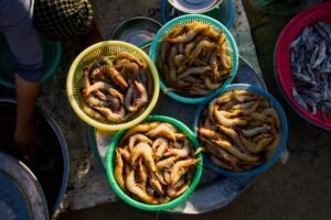 2025 OEM Hot Sale Seafood Canned - wholesale supplier | AgroFoods Global