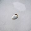 Seafrozen Frozen Pacific Mackerel BQF Wholesale - wholesale supplier | AgroFoods Global