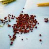 Wholesale Seeds A Growing Opportunity In The UAE Food - wholesale supplier | AgroFoods Global