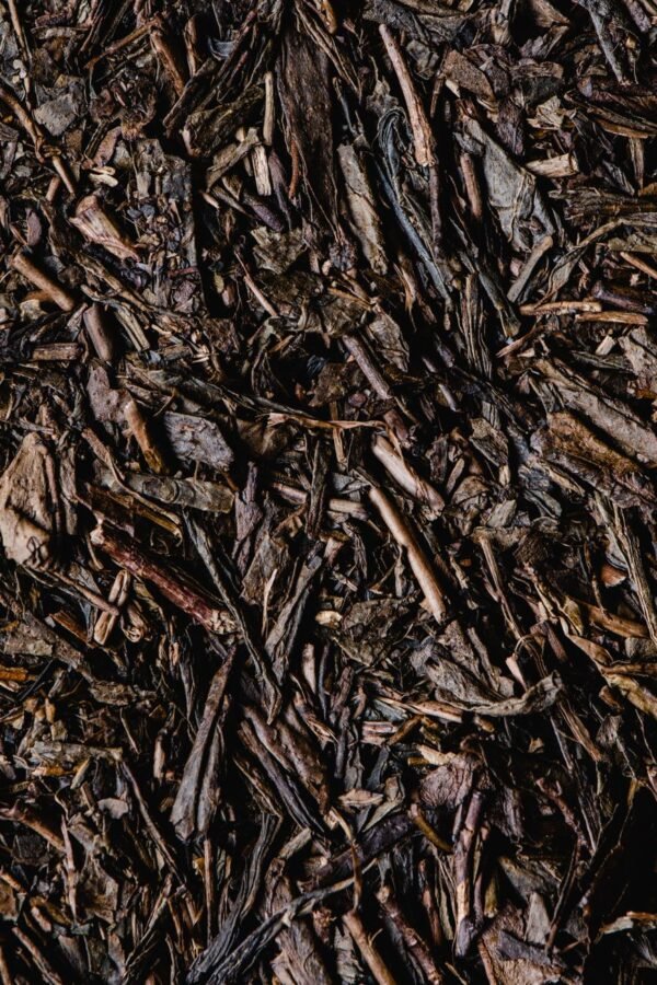 High Quality Premium Sencha Green Tea - wholesale supplier | AgroFoods Global