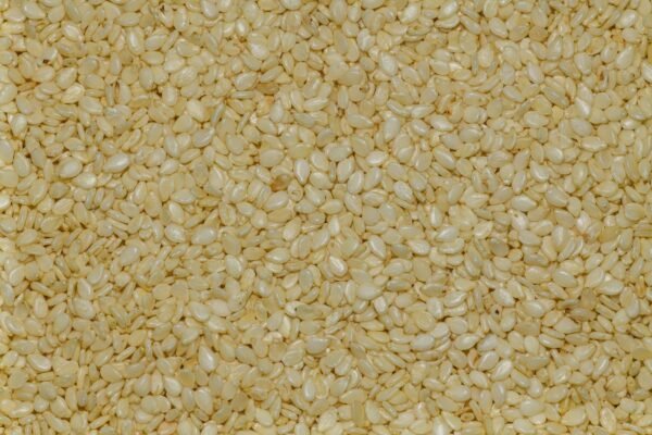 Sesame Seeds White Til - wholesale supplier | AgroFoods Global