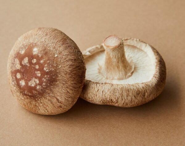 Shiitake Mushroom 200g UAE – Fresh Shiitake Mushrooms Wholesale Dubai - wholesale supplier | AgroFoods Global
