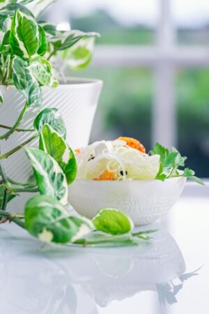 Wholesale Shirataki Pasta Konjac Noodles Gluten - wholesale supplier | AgroFoods Global