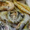 Vietnam Origin Good Price Dried Shrimp - wholesale supplier | AgroFoods Global