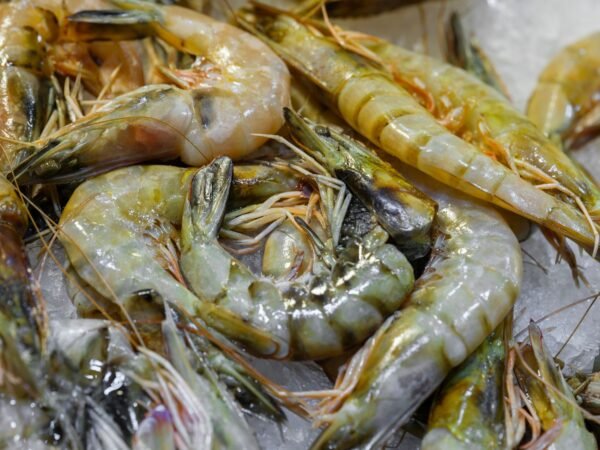 Vietnam Origin Good Price Dried Shrimp - wholesale supplier | AgroFoods Global